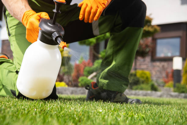 Best Pest Control Near Me in Arlington, NE
