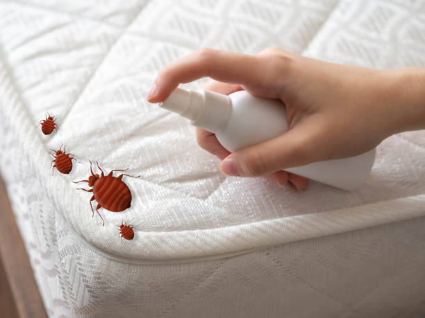 Arlington, NE Pest Control Company